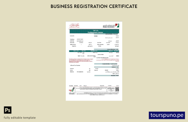 listo para imprimir licencia profesional de la empresa en los Emiratos Árabes Un